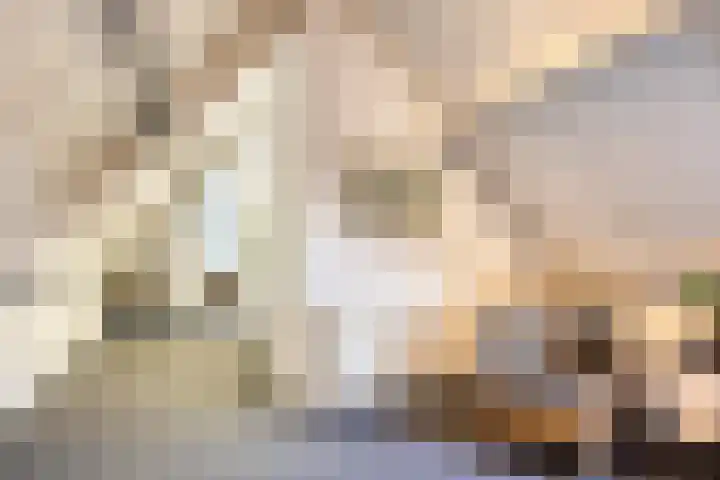 Cruijsberg 5 Heesch thumbnail 31