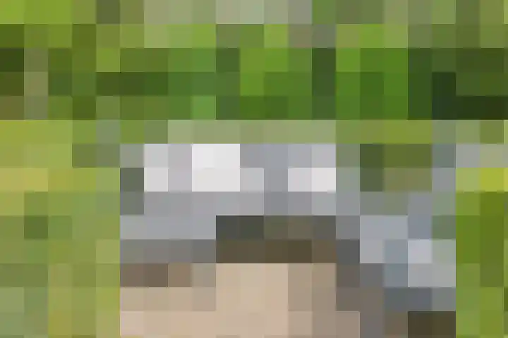 Cruijsberg 5 Heesch thumbnail 42