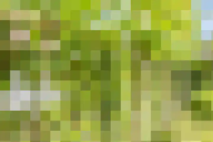 Cruijsberg 5 Heesch thumbnail 44