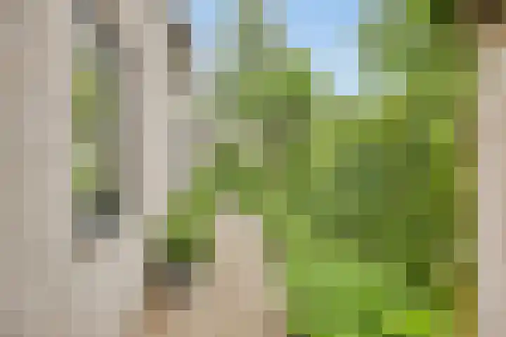 Cruijsberg 5 Heesch thumbnail 45