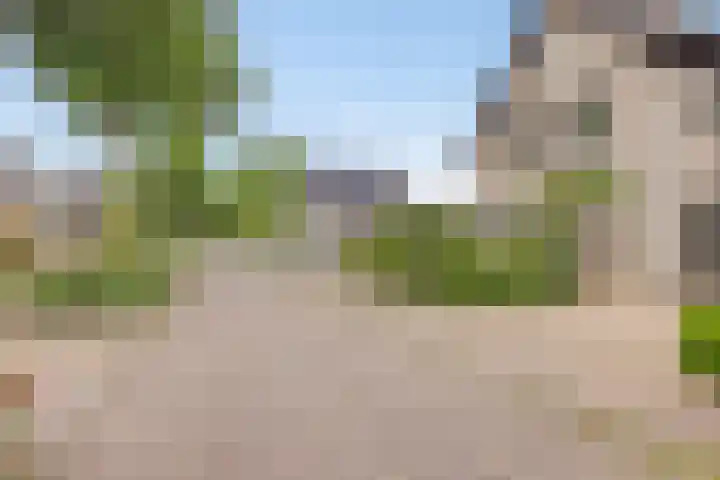 Cruijsberg 5 Heesch thumbnail 48