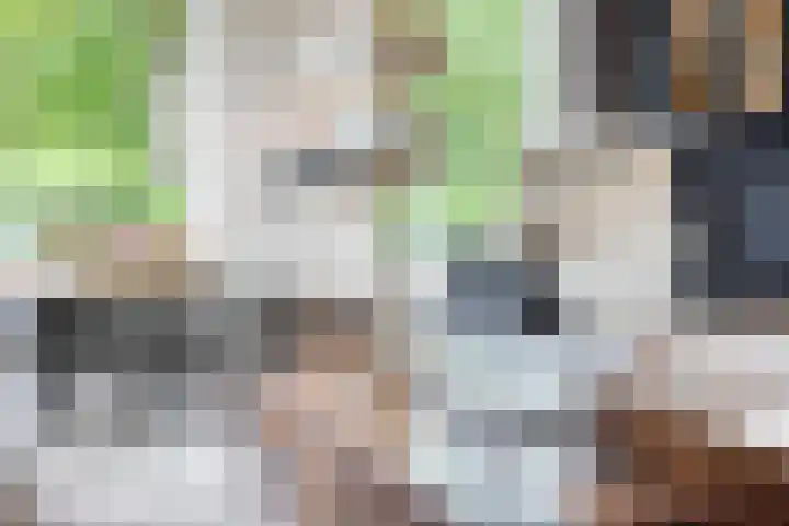 Cruijsberg 5 Heesch thumbnail 5