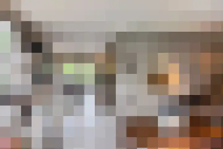 Cruijsberg 5 Heesch thumbnail 6