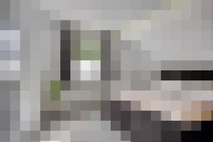 Cruijsberg 9 Heesch thumbnail 22