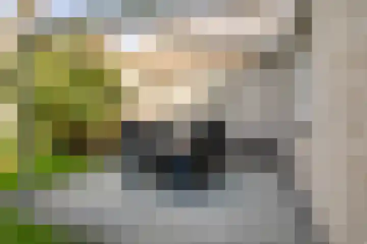 Cruijsberg 9 Heesch thumbnail 34