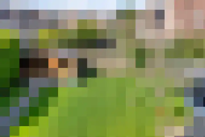 Cruijsberg 9 Heesch thumbnail 38