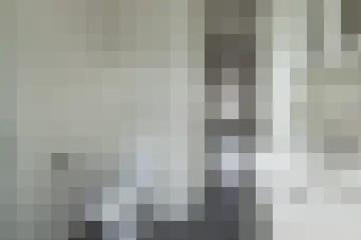 Cruquius 25 Hillegom thumbnail 20