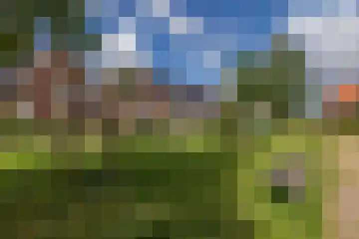 Cruquius 25 Hillegom thumbnail 32