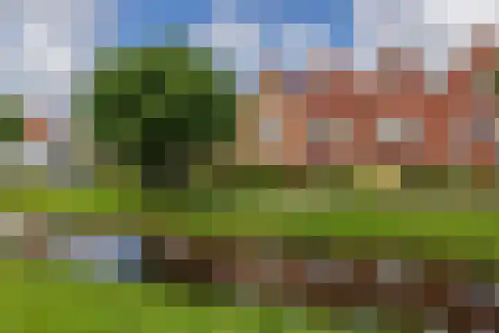 Cruquius 25 Hillegom thumbnail 5