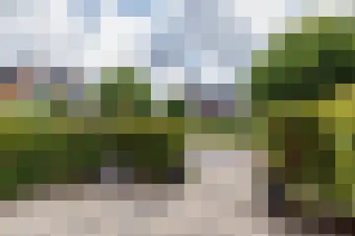 Cruquius 25 Hillegom thumbnail 7