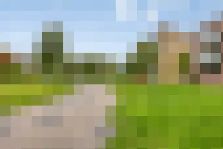 Cruquiuskade 201 Amsterdam thumbnail 22