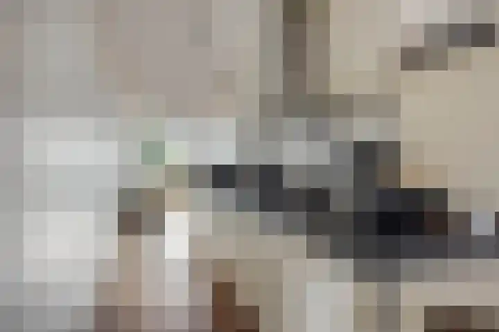 Cruquiuskade 201 Amsterdam thumbnail 7