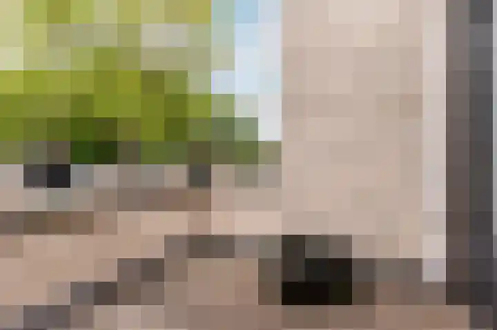 Csardasstraat 11 Almere thumbnail 30