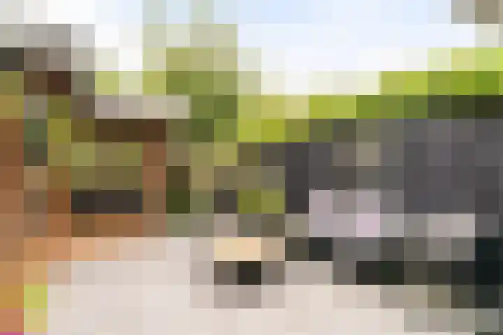 Cubalaan 52 Delft thumbnail 18