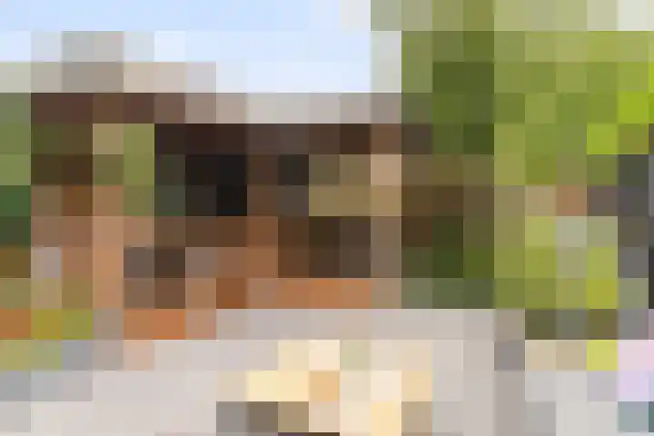 Cubalaan 52 Delft thumbnail 19