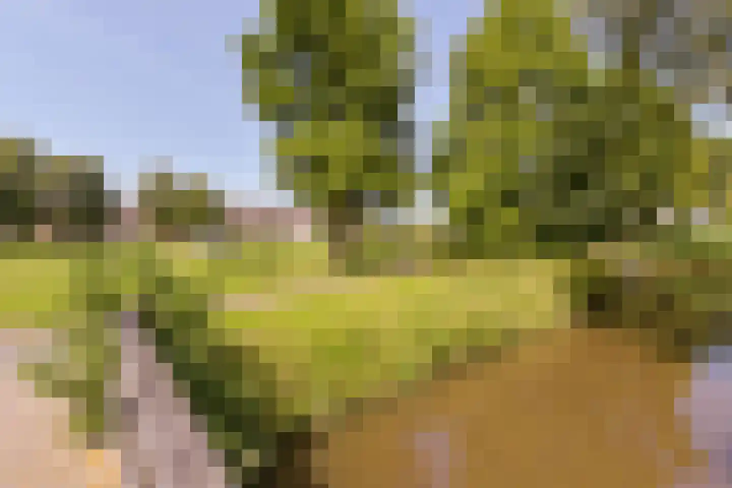 Cuilensmeer 62 Vinkeveen thumbnail 28