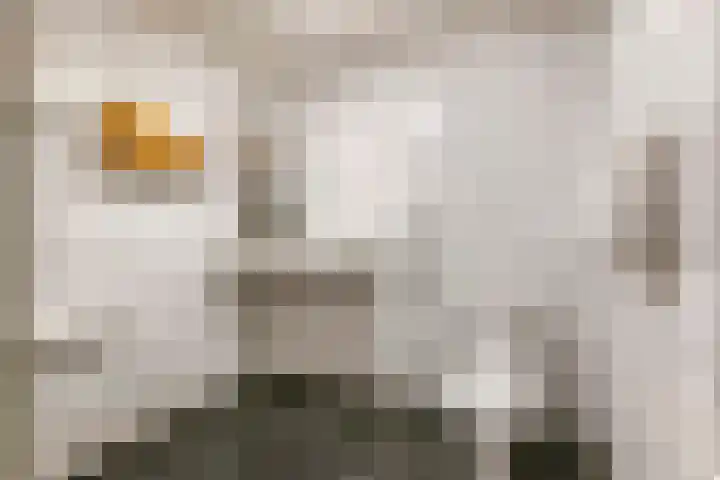 Culemborgseweg 27 Asch thumbnail 19