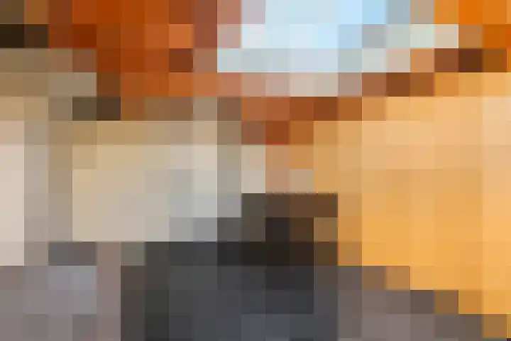 Culemborgseweg 27 Asch thumbnail 31