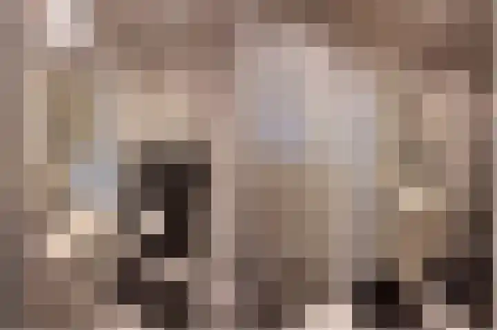 Culemborgseweg 27 Asch thumbnail 49