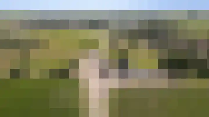 Culemborgseweg 27 Asch thumbnail 59