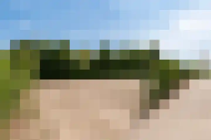 Culemborgseweg 27 Asch thumbnail 60