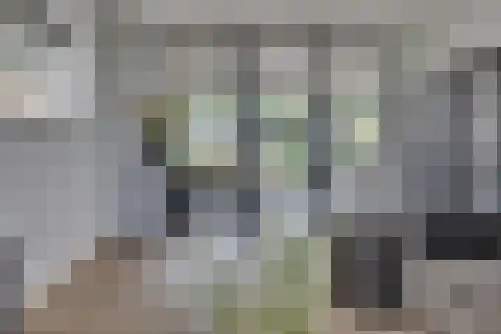 Cuneraweg 231 Rhenen thumbnail 12