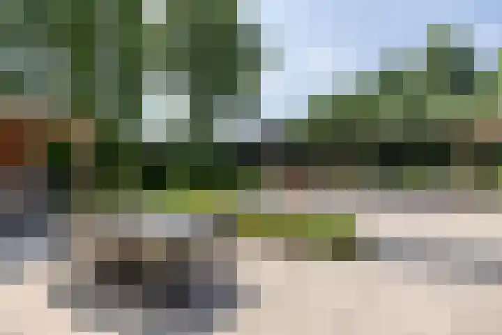 Cuneraweg 231 Rhenen thumbnail 43