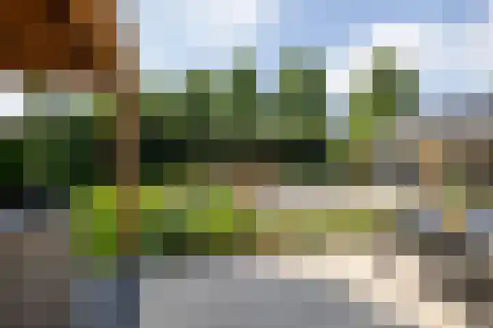 Cuneraweg 231 Rhenen thumbnail 45