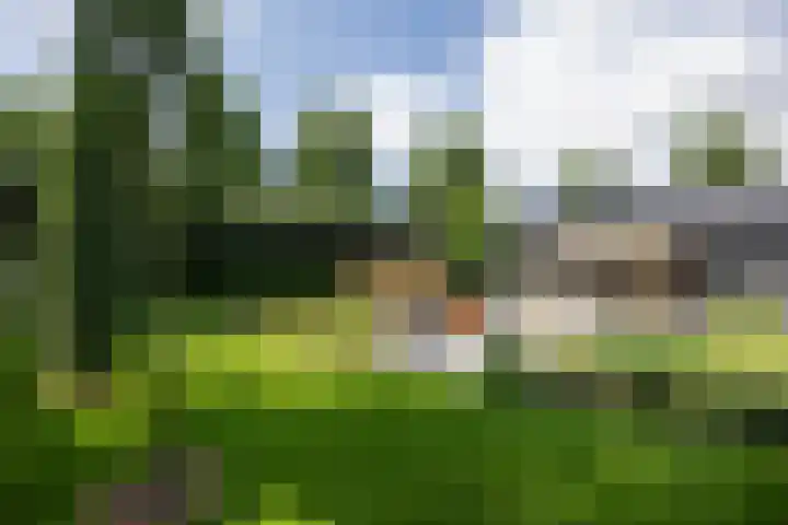 Cuneraweg 231 Rhenen thumbnail 47