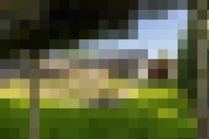 Cuneraweg 231 Rhenen thumbnail 51