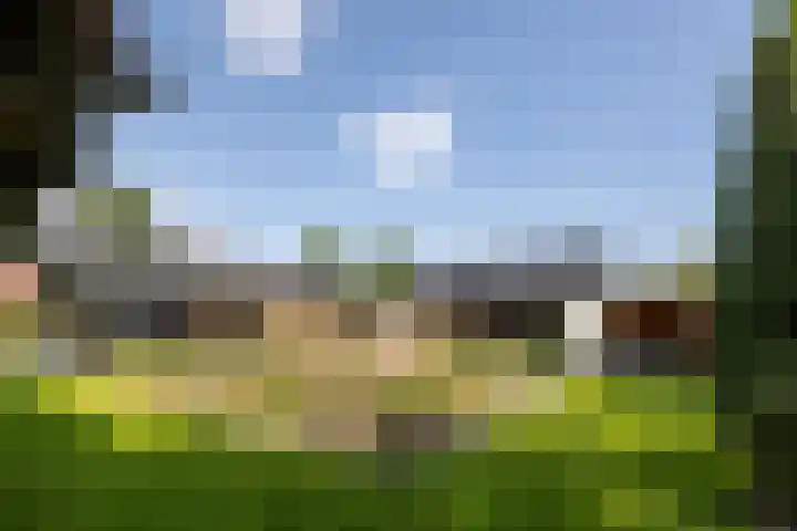 Cuneraweg 231 Rhenen thumbnail 52