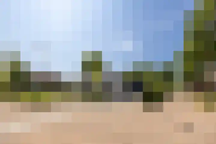 Cuneraweg 231 Rhenen thumbnail 58