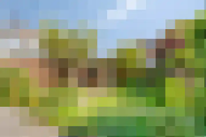 Curielaan 1 Pijnacker thumbnail 23