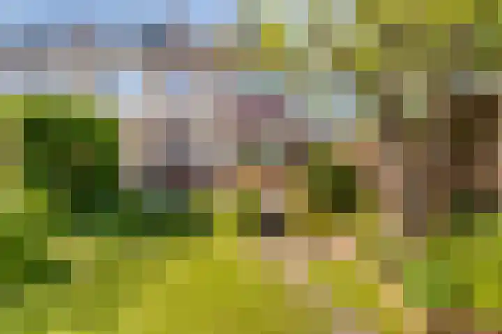 Curielaan 1 Pijnacker thumbnail 25