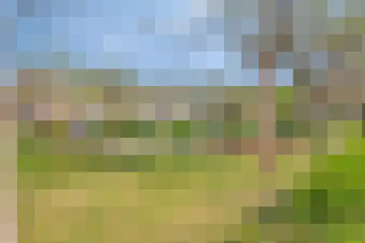 Curielaan 1 Pijnacker thumbnail 27