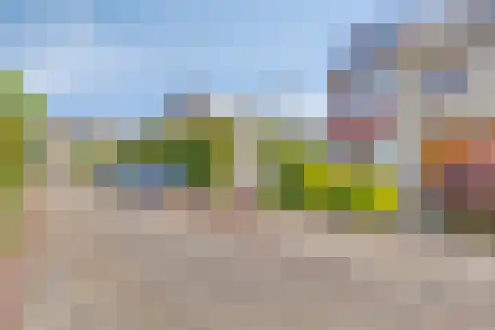 Curielaan 1 Pijnacker foto 3