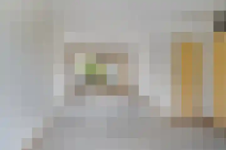Curielaan 1 Pijnacker thumbnail 6
