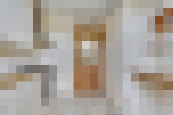 Curielaan 1 Pijnacker thumbnail 9