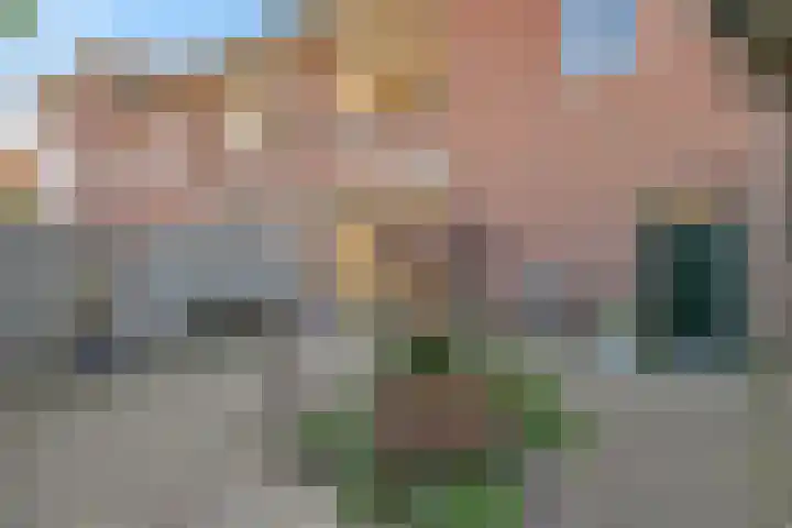 Cuyperspad 3 Nootdorp thumbnail 14