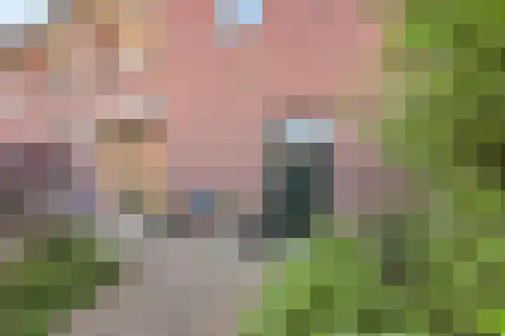 Cuyperspad 3 Nootdorp thumbnail 15