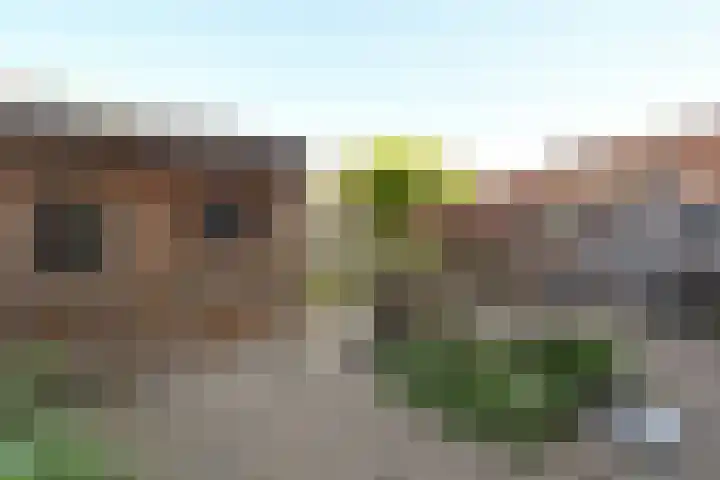 Cuyperspad 3 Nootdorp thumbnail 17