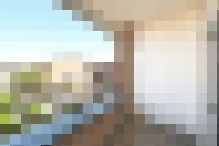 Cuyperspad 3 Nootdorp thumbnail 28