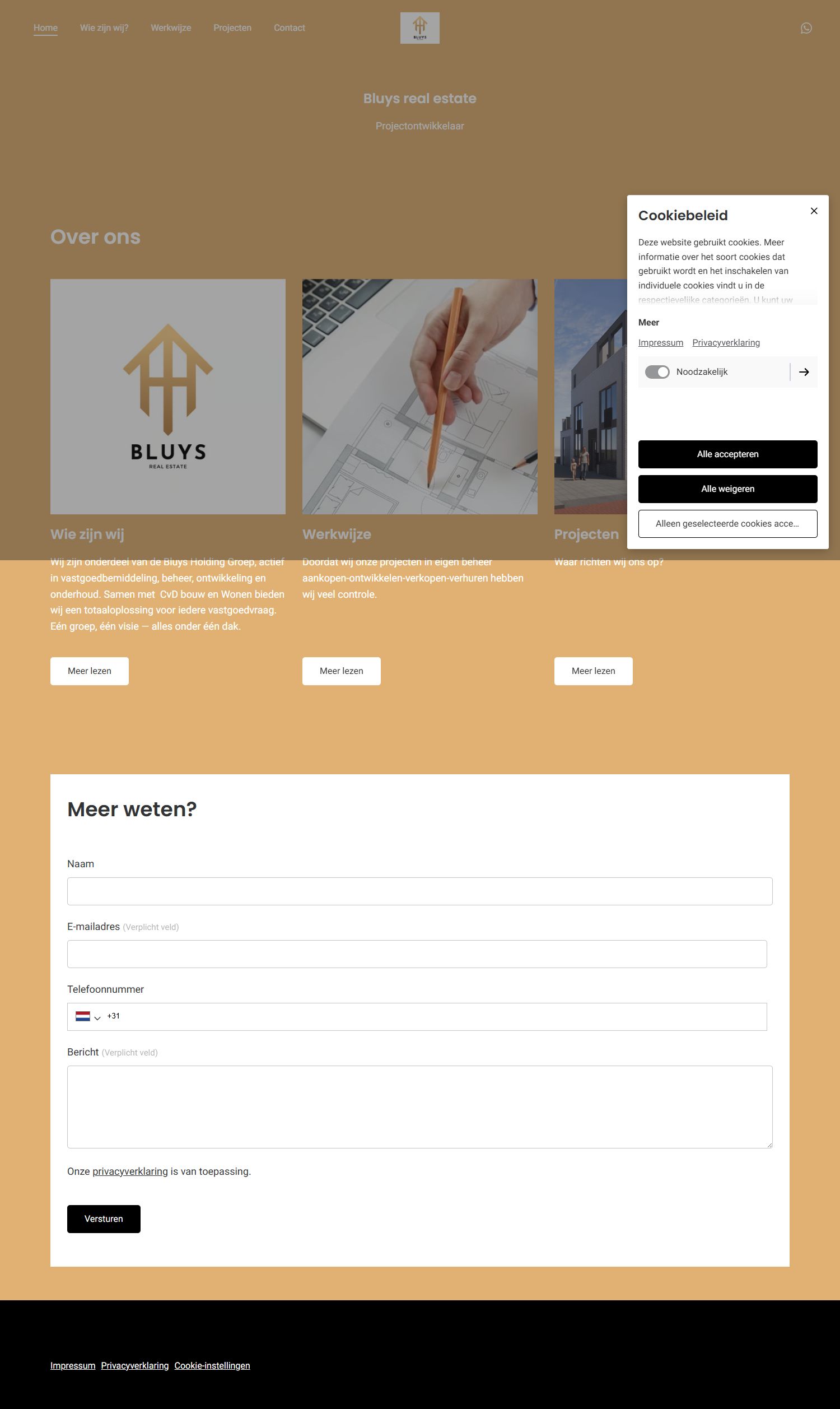 Screenshot van de website van www.bluysrealestate.com