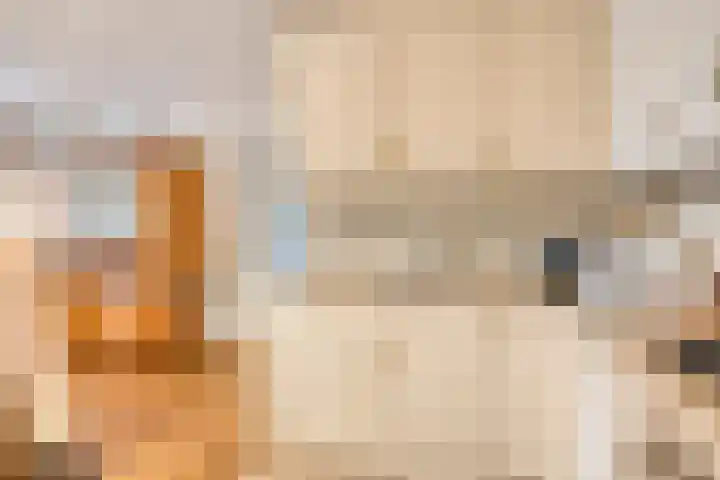 Cyclaamhof 9 Made thumbnail 10