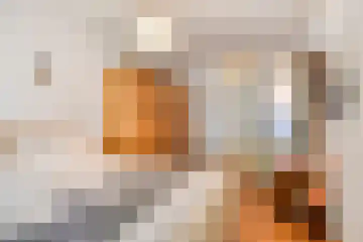 Cyclaamhof 9 Made thumbnail 13