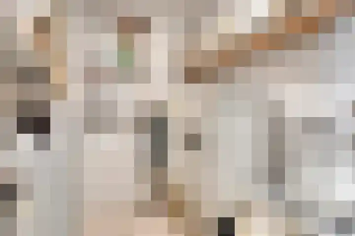 Cyclaamhof 9 Made thumbnail 18