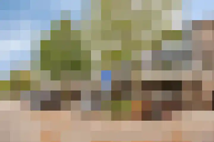 Cyclaamhof 9 Made thumbnail 23