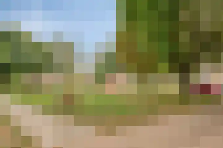 Cyclaamhof 9 Made thumbnail 24