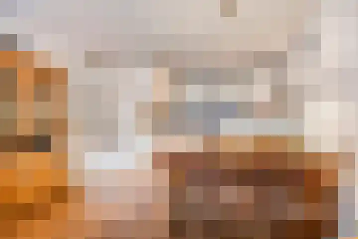 Cyclaamhof 9 Made thumbnail 8