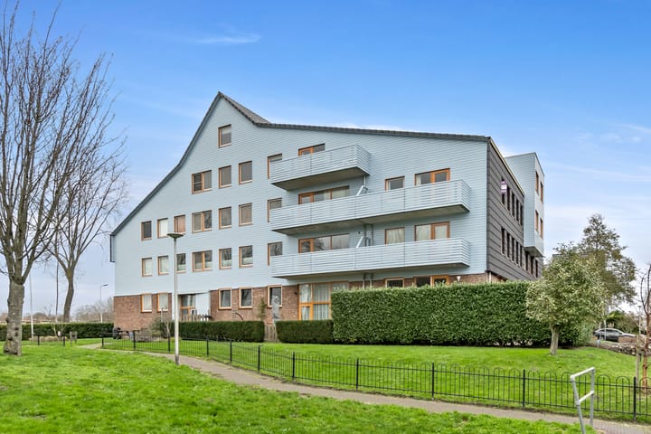 Cypergras 113 in 's-Gravenhage foto